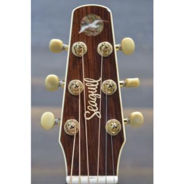 Seagull martin guitar accessories by martin Godin guitar martin Artist martin acoustic strings Studio martin guitar strings acoustic CW DLX Element &#034;SF&#034; Guitar w/ TRIC #041572900028