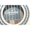 Cordoba martin guitar C12 martin guitars Limited martin acoustic guitars SP/MR martin guitars acoustic Nylon acoustic guitar martin Classical Guitar DAMAGED *D5155