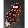 ESP martin guitar AMOROUS martin acoustic guitars CTM martin -Black acoustic guitar martin Cherry- martin guitar strings 2013 Electric Guitar Free Shipping #4 small image