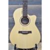 Seagull martin guitars acoustic by martin d45 Godin martin strings acoustic NE martin acoustic guitars Amber martin guitars Trail CW Folk SG T35 &#034;SF&#034; Ac. El. Guitar #036479000540 #1 small image