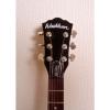 WASHBURN martin strings acoustic BLACK martin guitar accessories P170 martin guitars acoustic PILSEN martin acoustic guitar strings IDOL martin guitar strings acoustic medium ELECTRIC GUITAR EX SHOP DISPLAY + DELUXE GIGBAG #2 small image