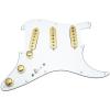 Loaded acoustic guitar strings martin Strat martin acoustic guitar Pickguard martin guitar strings acoustic w acoustic guitar martin Seymour martin guitars acoustic Duncan SSL-2 Pickups, Blender, White/Gold #1 small image