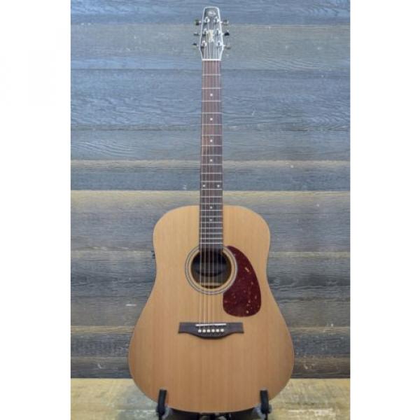 Seagull martin acoustic guitars by martin guitars acoustic Godin martin S6 martin guitars Original martin strings acoustic QIT &#034;SF&#034; Acoustic Electric Guitar #029426900183 #2 image