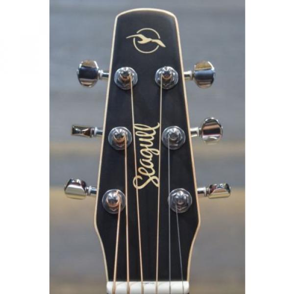 Seagull martin acoustic guitars by martin guitars acoustic Godin martin S6 martin guitars Original martin strings acoustic QIT &#034;SF&#034; Acoustic Electric Guitar #029426900183 #5 image
