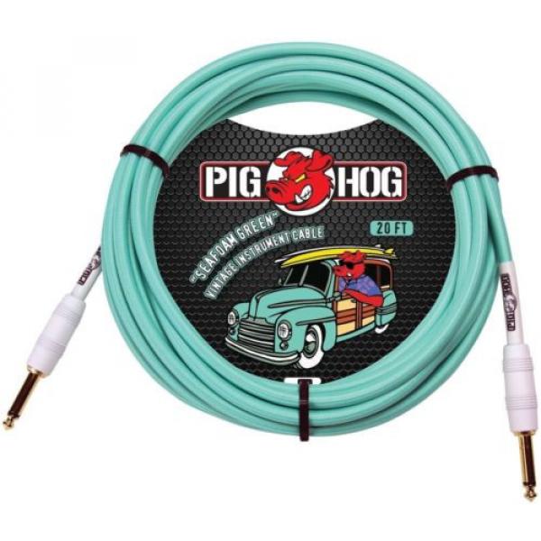 2 martin guitar case PIG martin strings acoustic HOG martin guitar strings 20 martin acoustic guitar strings FOOT guitar martin ORANGE CREAM SEAFOAM GREEN GUITAR PATCH CABLE 1/4 CORD PIGHOG #3 image