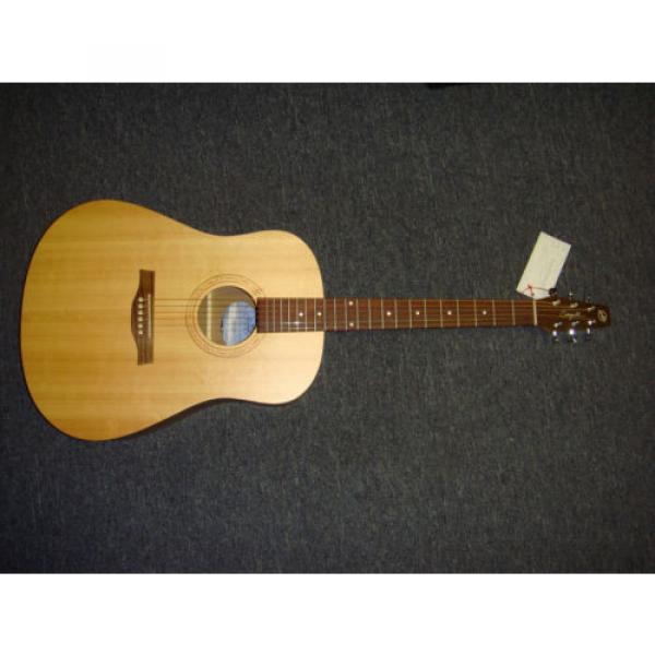 Seagull martin acoustic strings Excursion martin guitar strings Walnut martin strings acoustic Isyst martin guitar case SG martin guitar Acoustic/Electric guitar #2 image