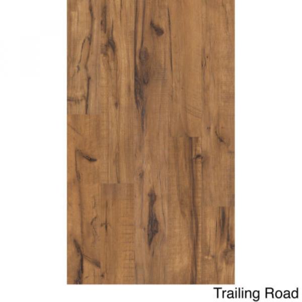Shaw martin strings acoustic Industries martin guitars Timberline martin guitar Textured martin d45 Expressions martin 12mm Laminate Flooring (17.99 Sq #2 image